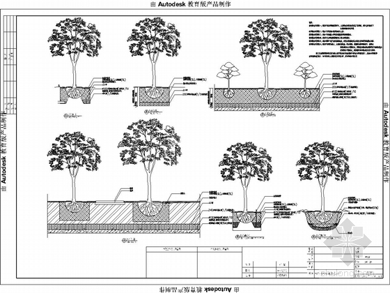 [安徽]住宅小区景观绿化设计施工图
