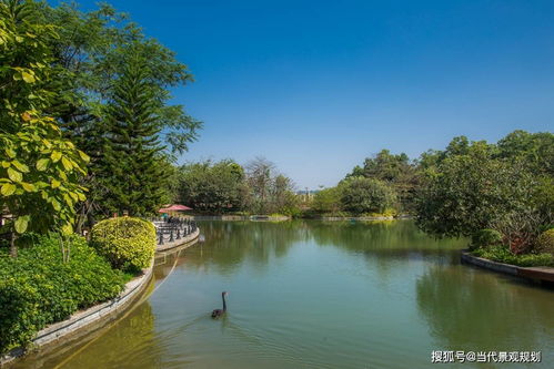 金地 天悦湾 当代景观规划精品项目